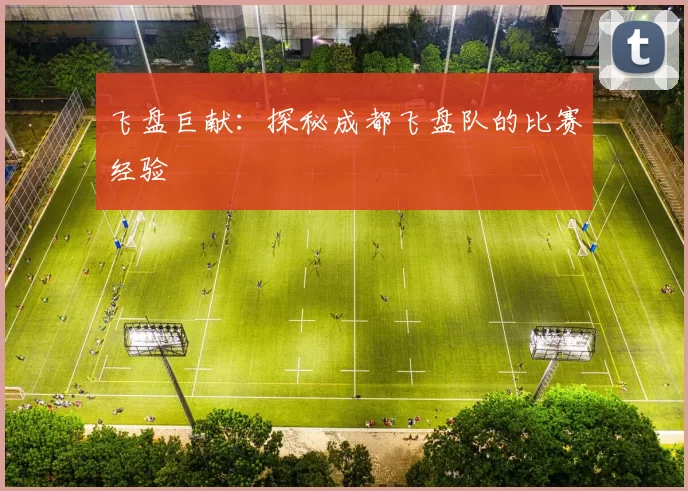 飞盘巨献：探秘成都飞盘队的比赛经验