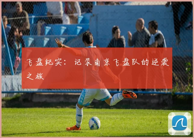 飞盘纪实：记录南京飞盘队的逆袭之旅