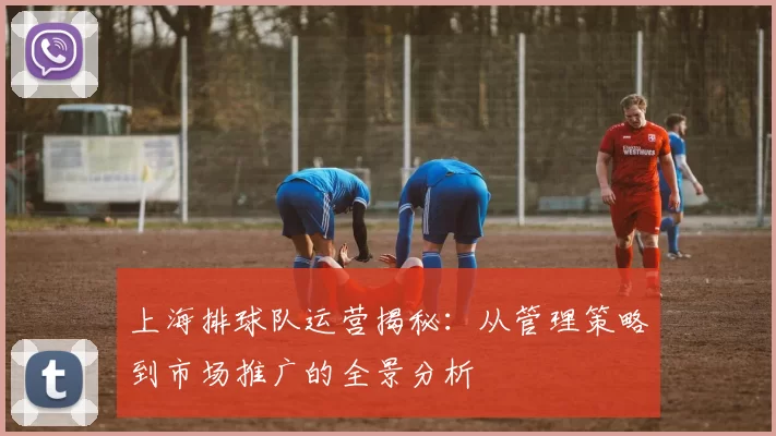 上海排球队运营揭秘：从管理策略到市场推广的全景分析