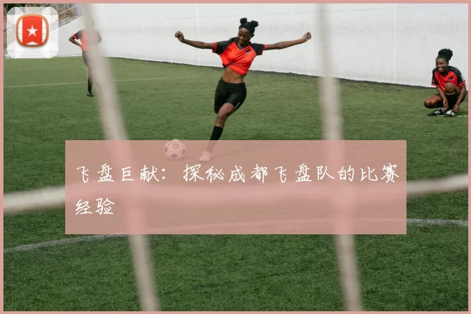 飞盘巨献：探秘成都飞盘队的比赛经验