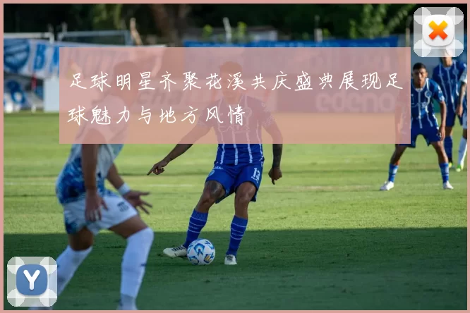 足球明星齐聚花溪共庆盛典展现足球魅力与地方风情