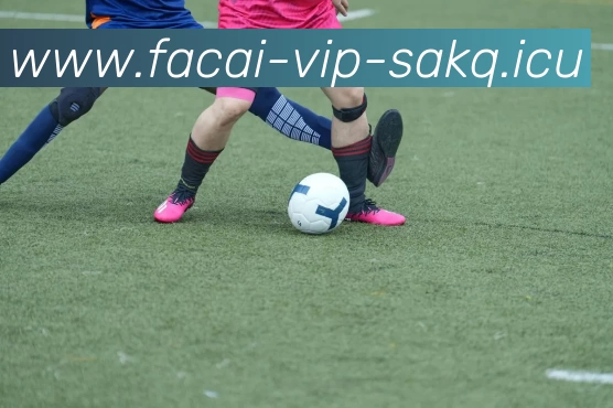 MK体育平台生态图