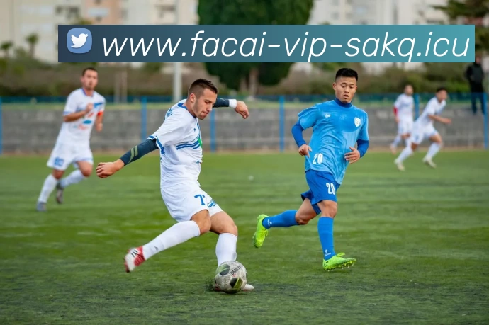 MK体育APP 封面图